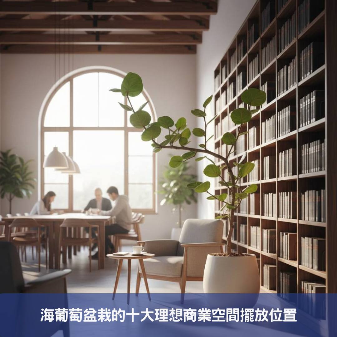 海葡萄盆栽:您的商業空間綠化首選,十個提升質感的擺放提案