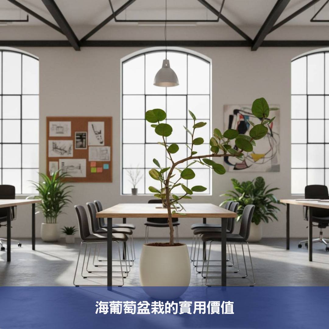 海葡萄盆栽:您的商業空間綠化首選,十個提升質感的擺放提案
