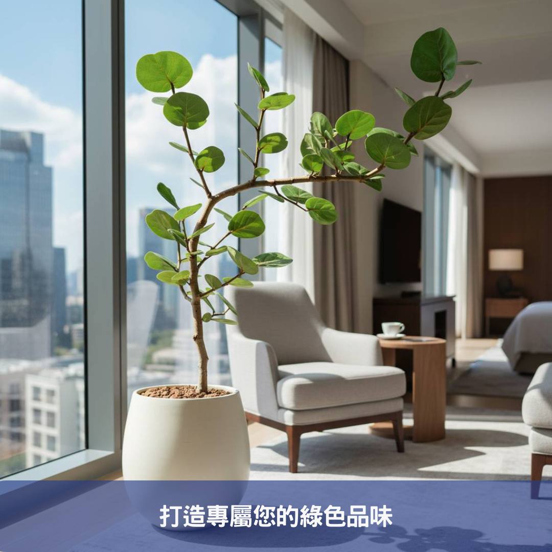海葡萄盆栽:您的商業空間綠化首選,十個提升質感的擺放提案