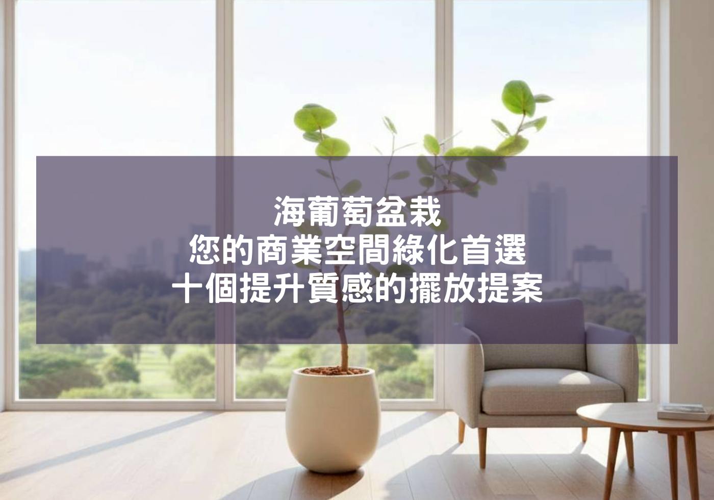 閱讀更多文章 海葡萄盆栽：您的商業空間綠化首選，十個提升質感的擺放提案
