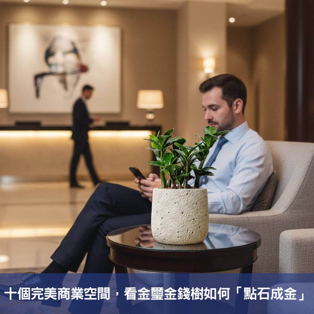 金璽金錢樹-點亮商業空間的招財盆栽首選!