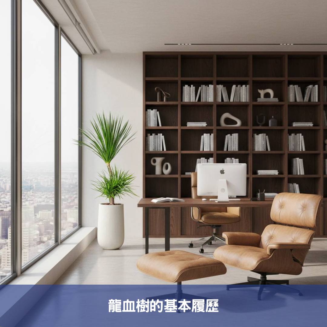 龍血樹如何為您的企業形象加分