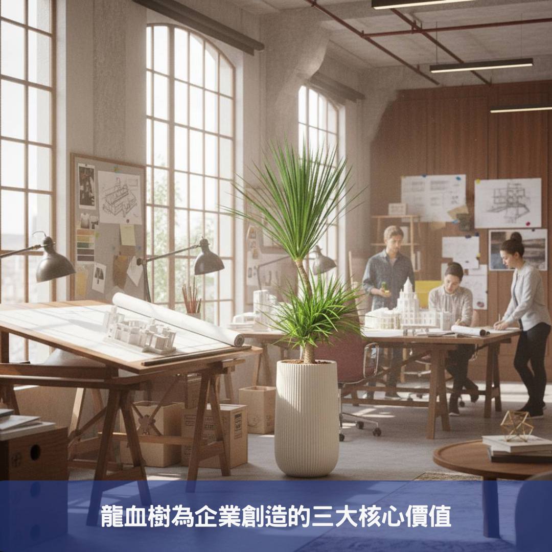 龍血樹如何為您的企業形象加分