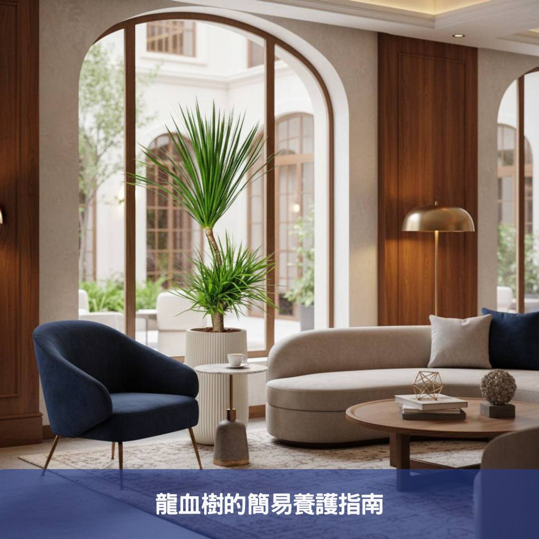 龍血樹如何為您的企業形象加分