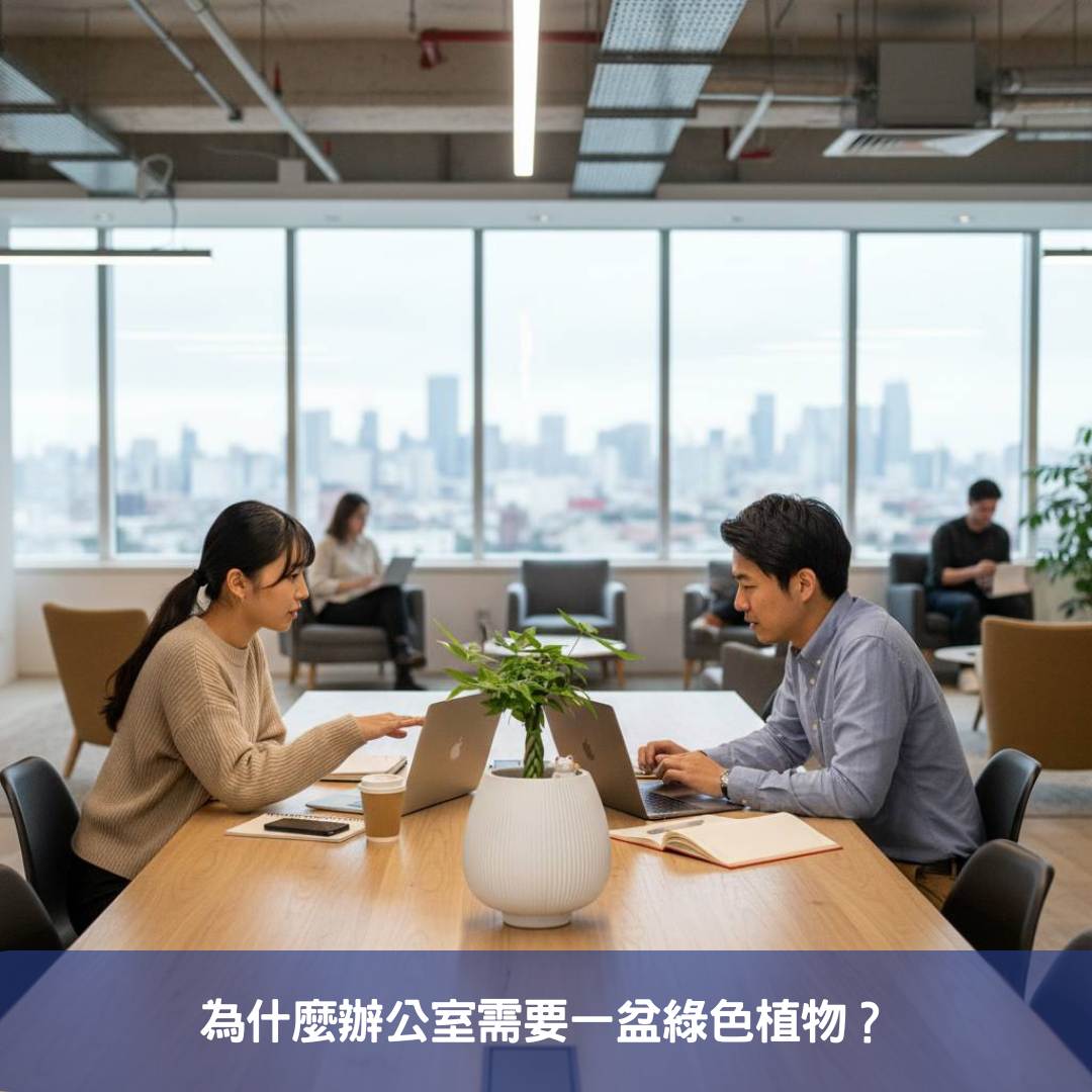 馬拉巴栗-辦公室招財盆栽首選!10大商務空間綠化佈置,開幕送禮推薦