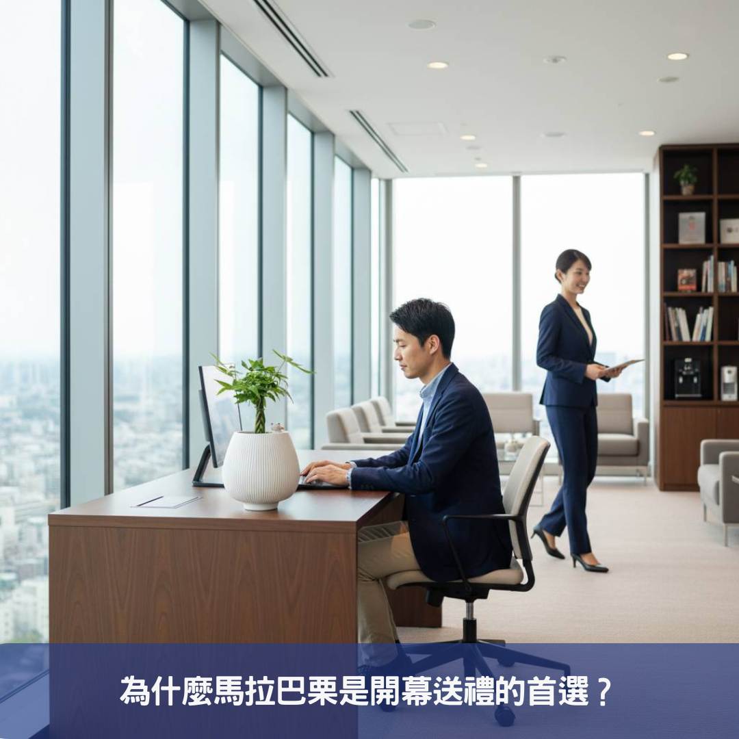 馬拉巴栗-辦公室招財盆栽首選!10大商務空間綠化佈置,開幕送禮推薦