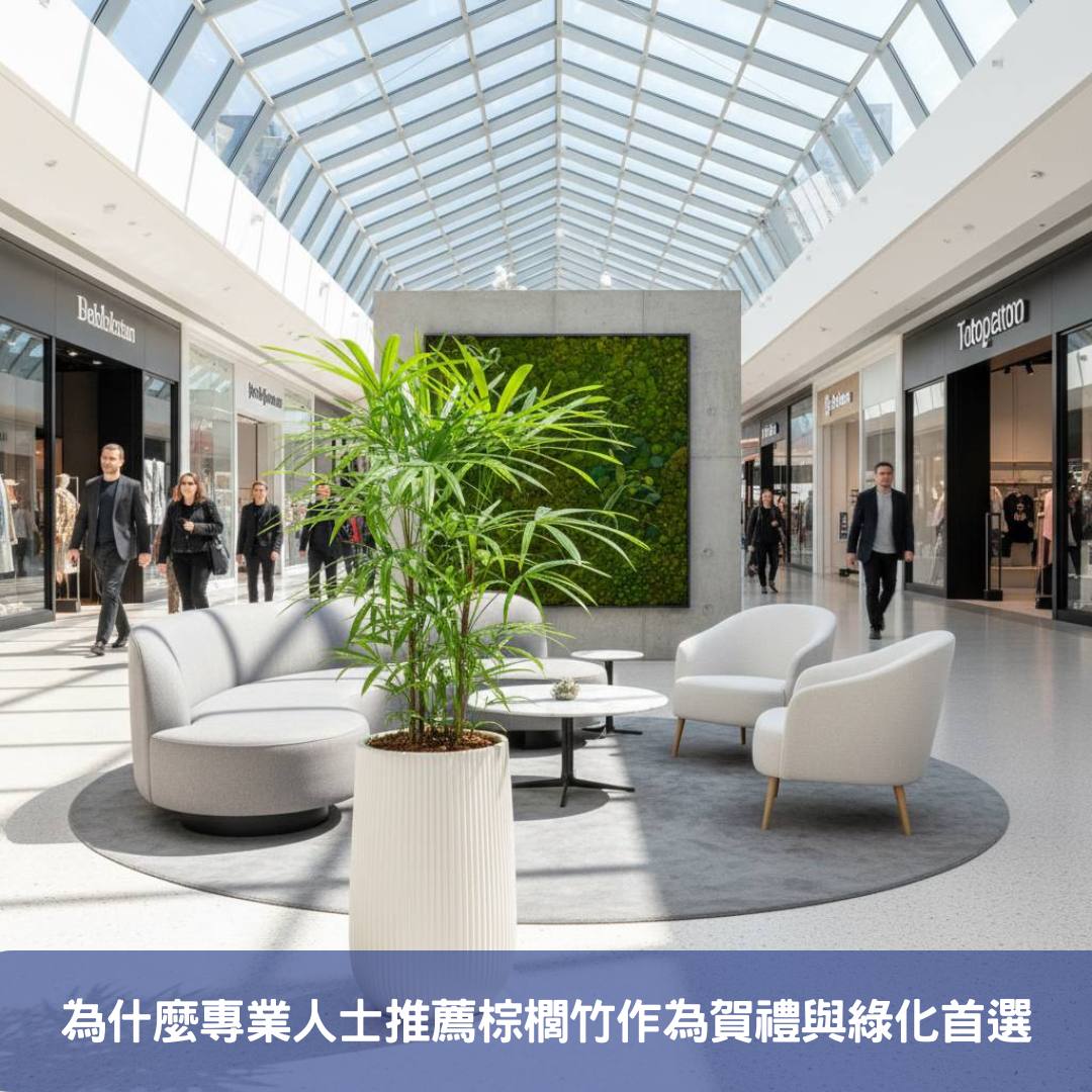 棕櫚竹盆栽不只是綠色植物,更是您辦公室的空氣清淨機與品味象徵!