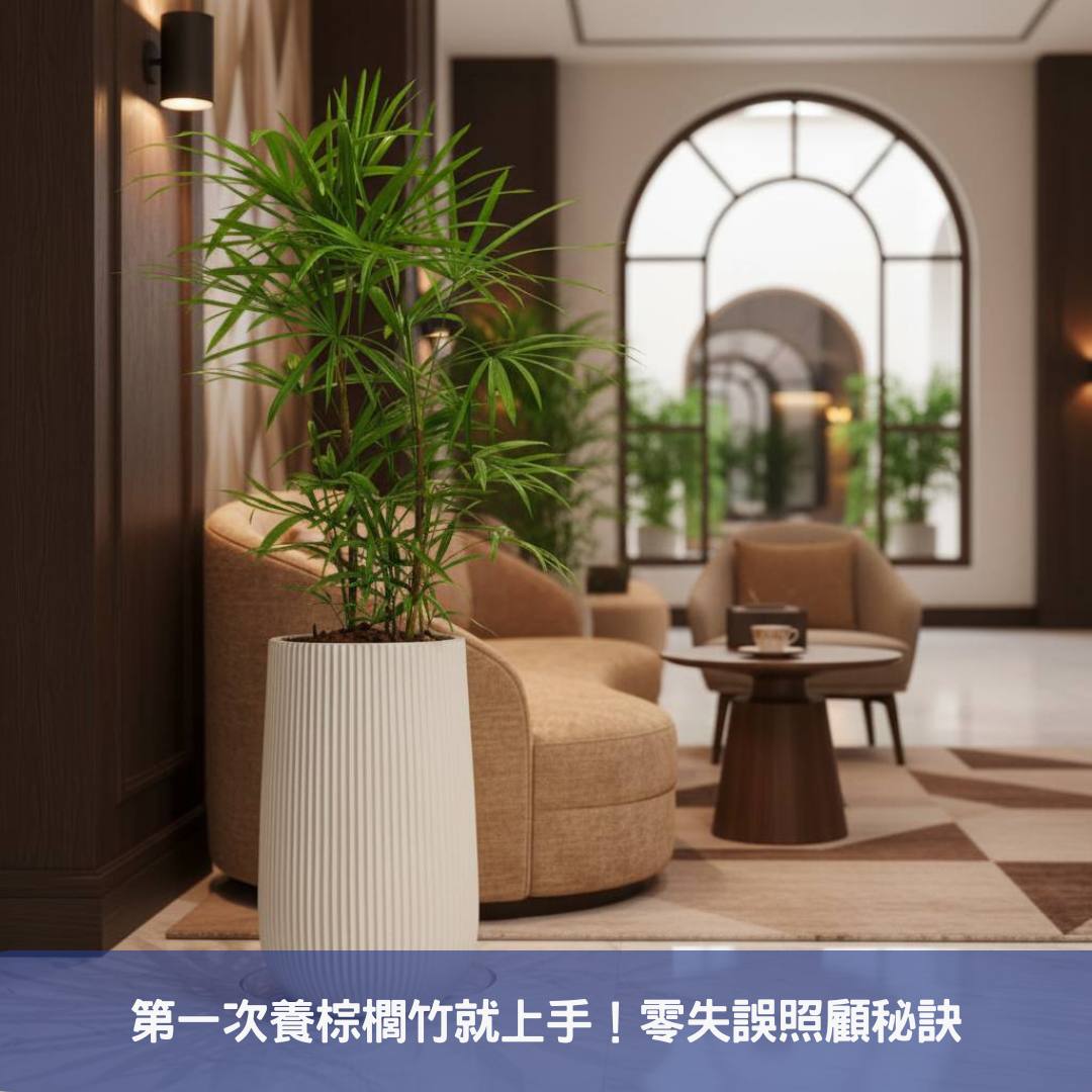 棕櫚竹盆栽不只是綠色植物,更是您辦公室的空氣清淨機與品味象徵!
