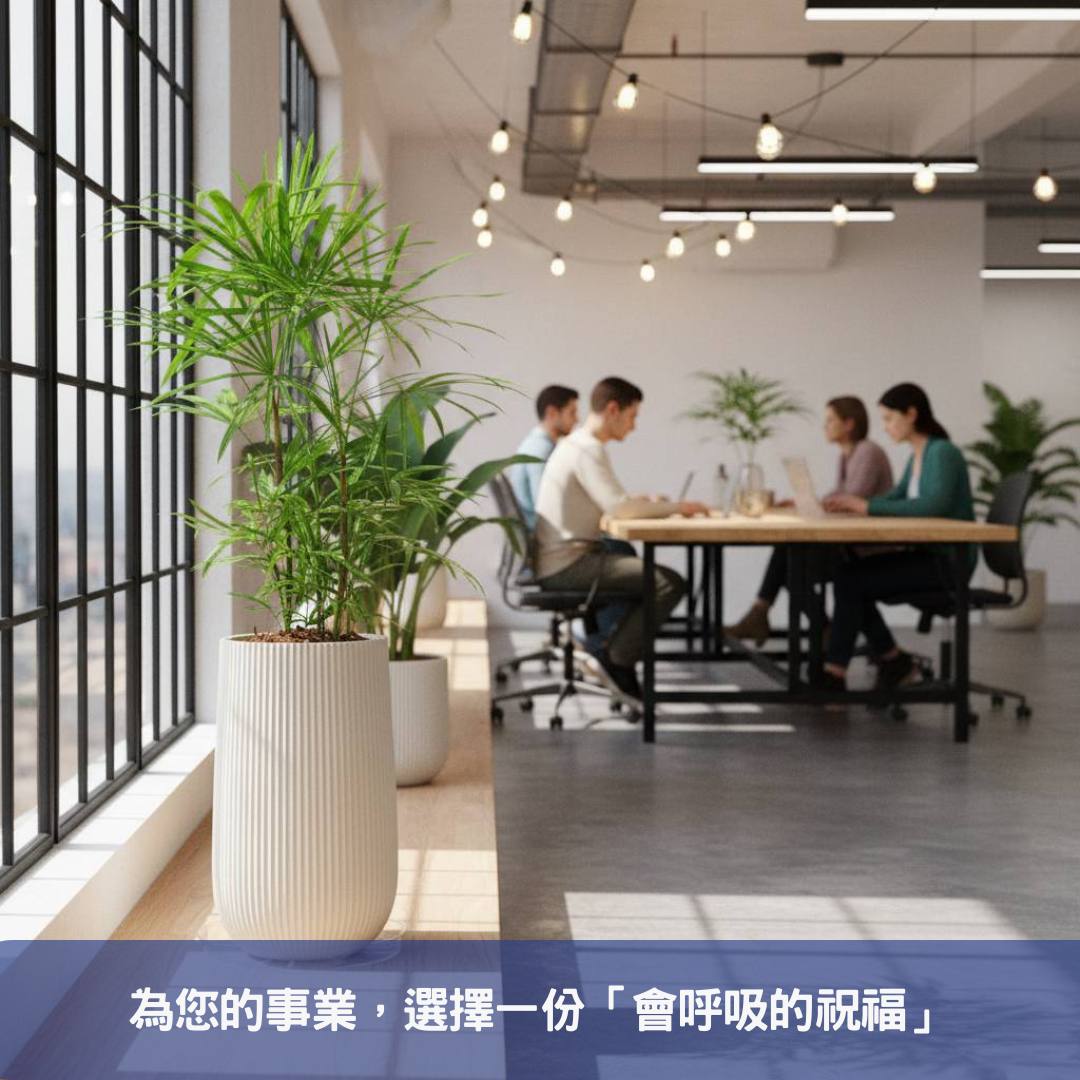 棕櫚竹盆栽不只是綠色植物,更是您辦公室的空氣清淨機與品味象徵!