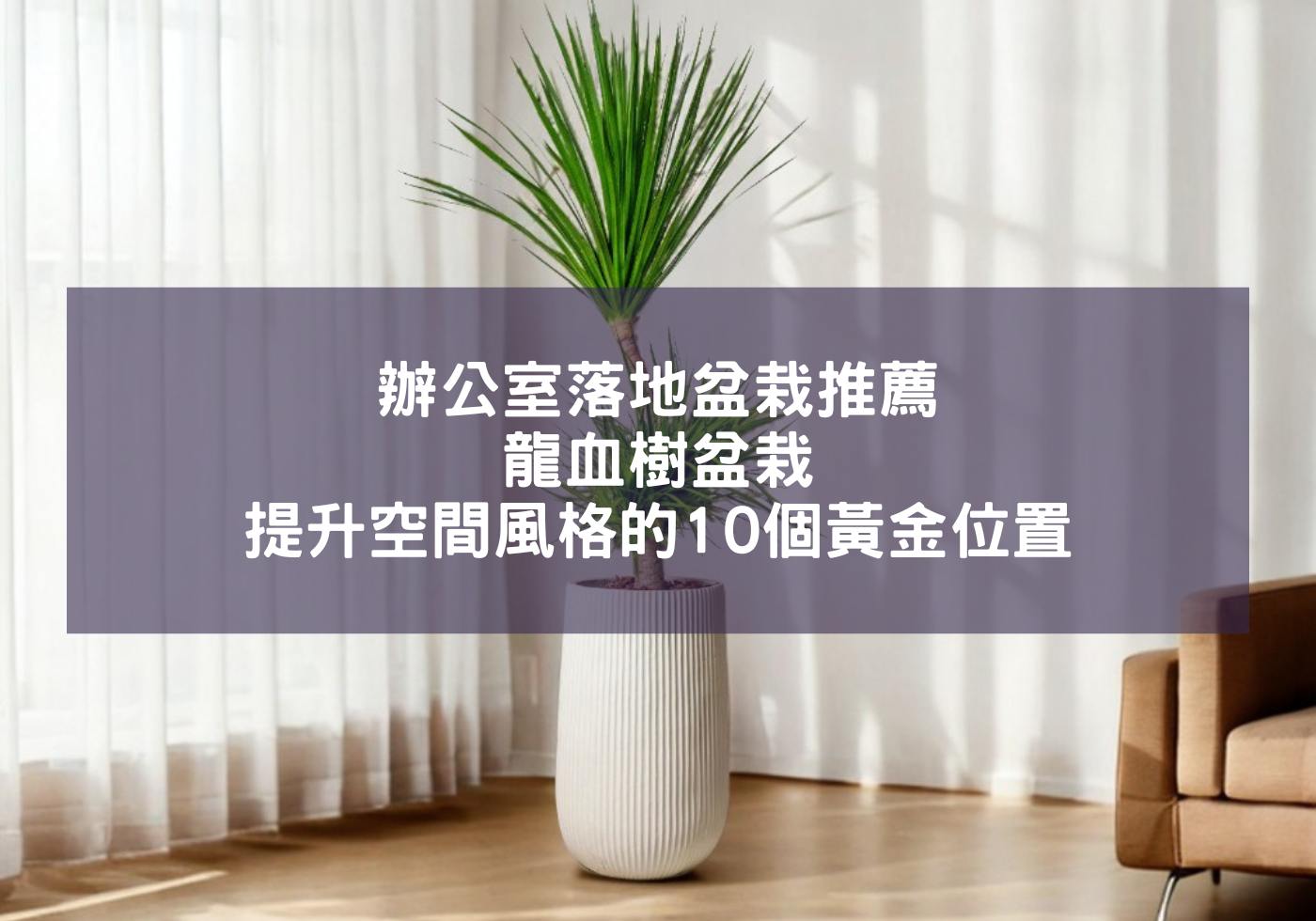 閱讀更多文章 辦公室落地盆栽推薦-龍血樹盆栽，提升空間風格的10個黃金位置