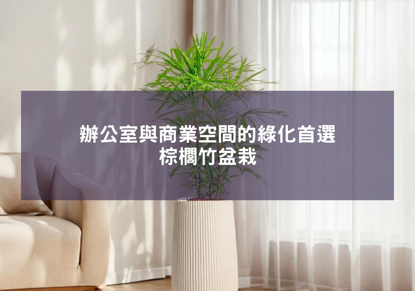 閱讀更多文章 辦公室與商業空間的綠化首選-棕櫚竹盆栽