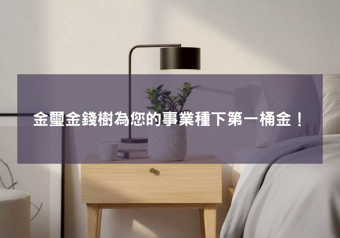 金璽金錢樹為您的事業種下第一桶金！