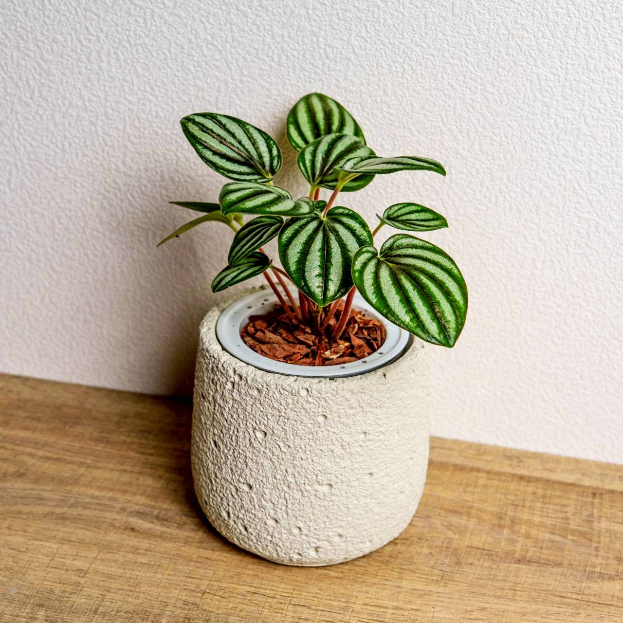 251008_25