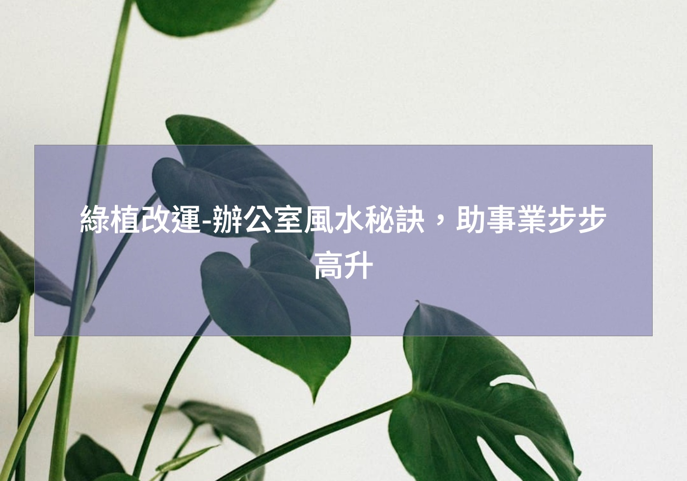 綠植改運-辦公室風水秘訣，助事業步步高升