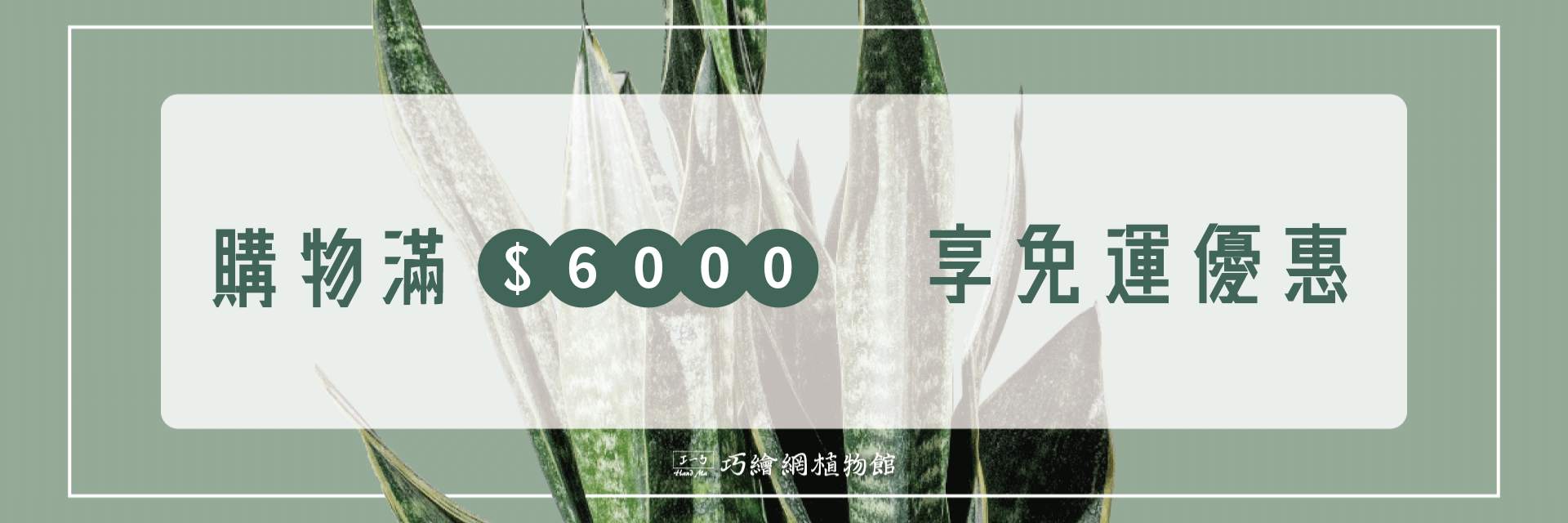 購物滿額6000 享免運優惠 即刻購買心儀盆栽 居家裝飾
