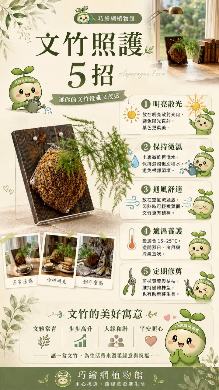 植物上板 蛤蟆秋海棠 碳化木板 掛飾 板植 牆上綠植