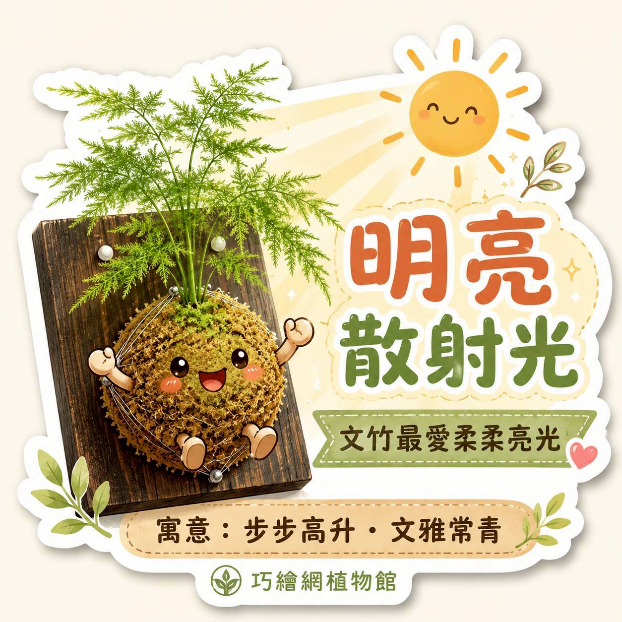 植物上板 文竹 碳化木板 掛飾 板植 牆上綠植