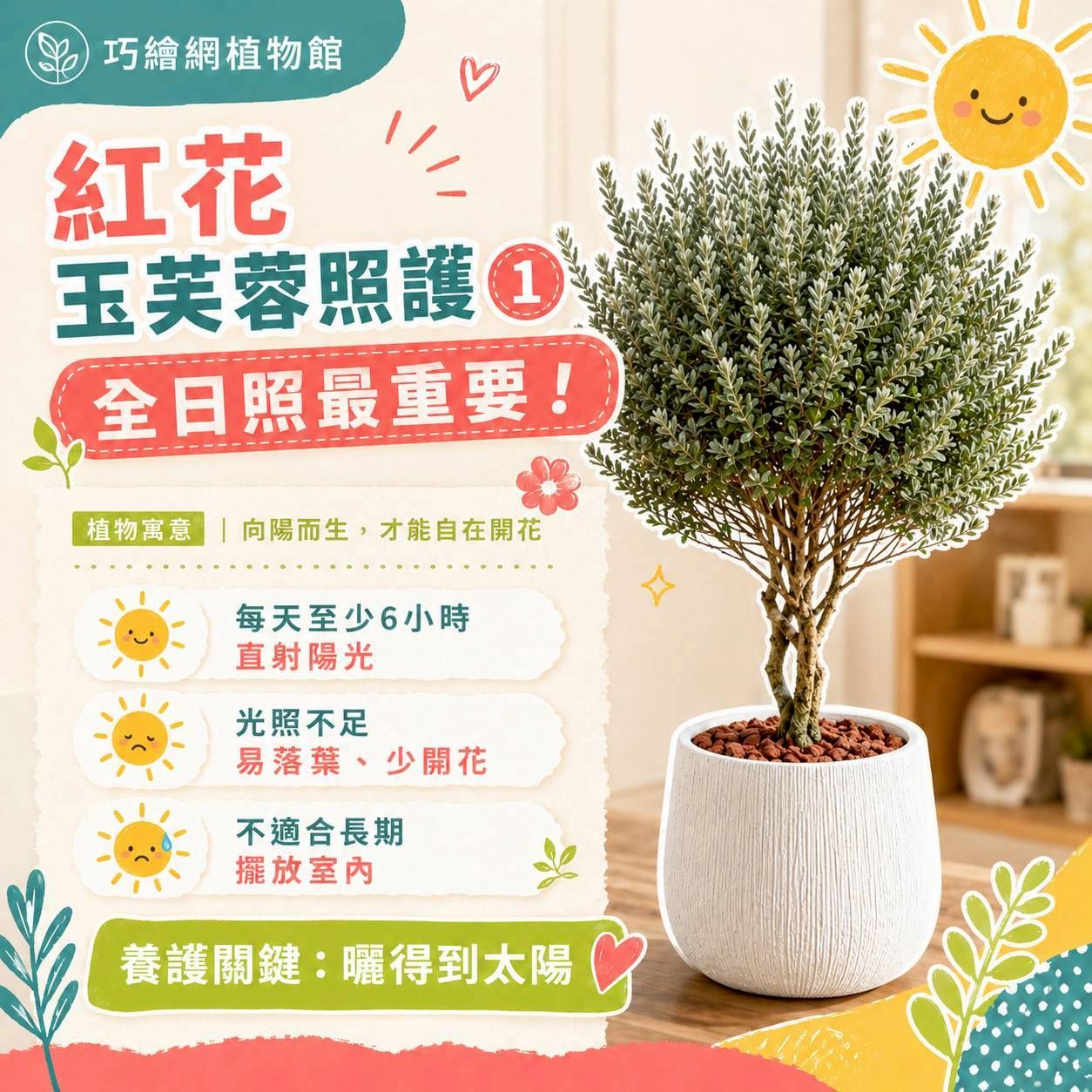 紅花玉芙蓉 奶白色樹紋寬口落地大盆栽 開幕花盆 觀葉植物 居家裝飾