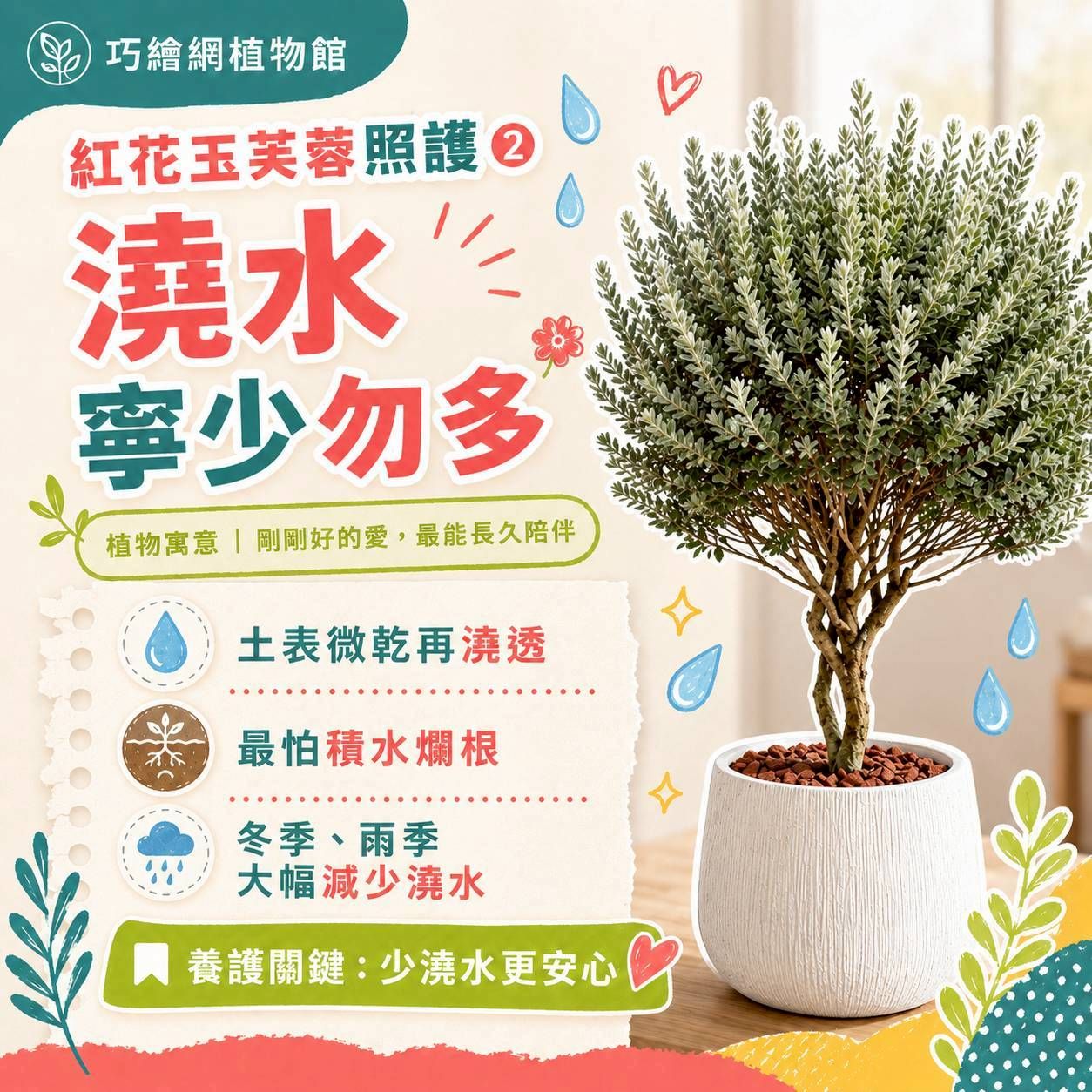 紅花玉芙蓉 奶白色樹紋寬口落地大盆栽 開幕花盆 觀葉植物 居家裝飾