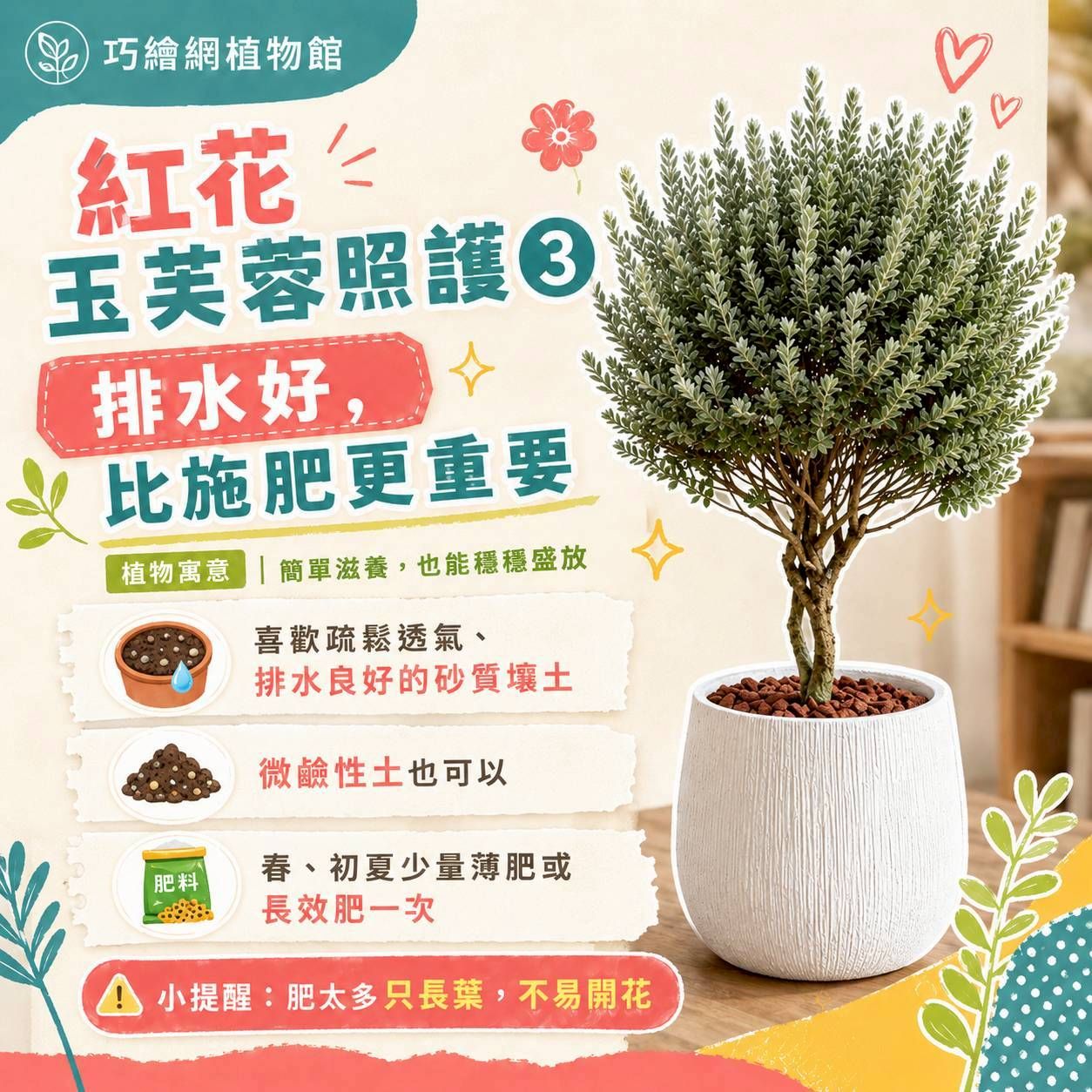 紅花玉芙蓉 奶白色樹紋寬口落地大盆栽 開幕花盆 觀葉植物 居家裝飾