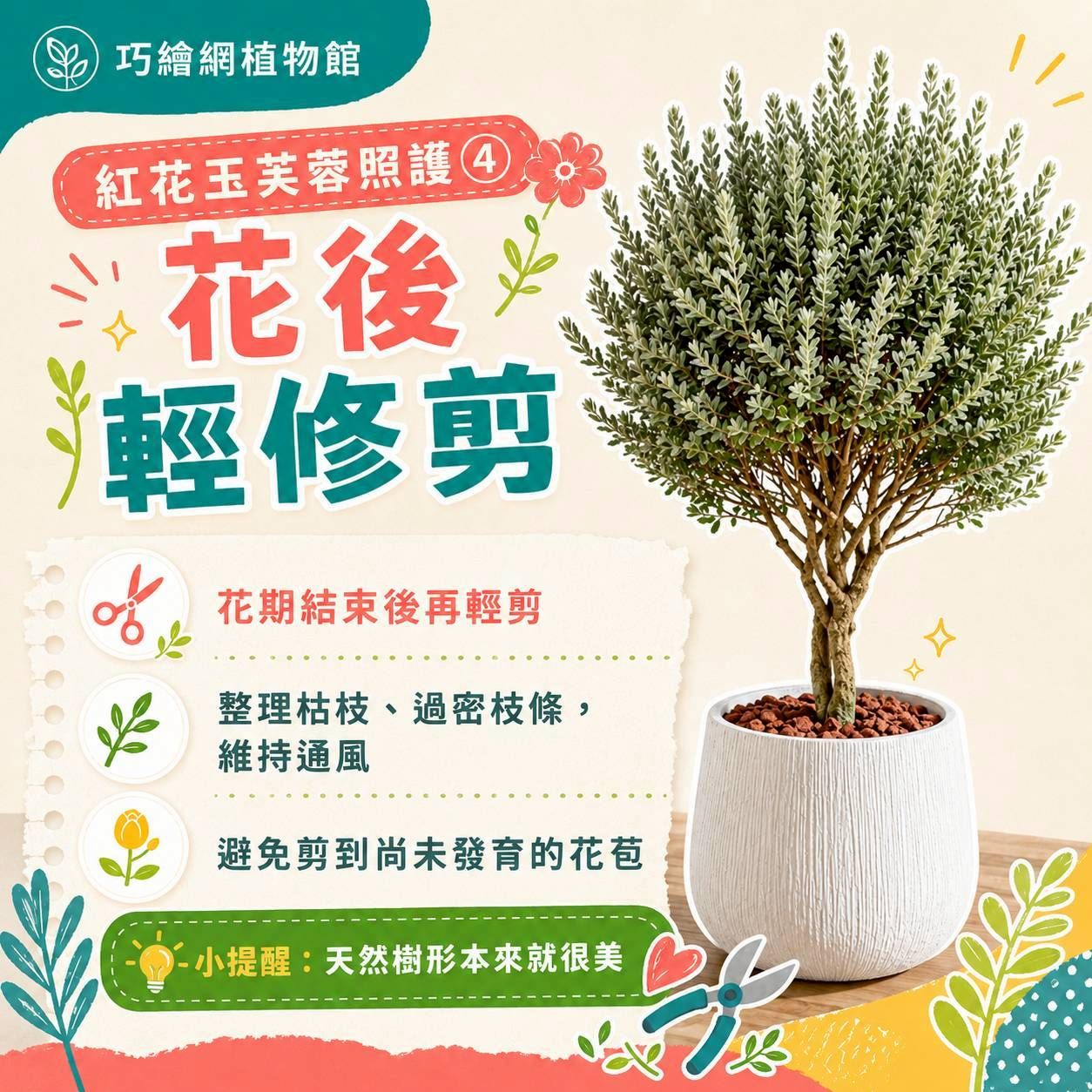 紅花玉芙蓉 奶白色樹紋寬口落地大盆栽 開幕花盆 觀葉植物 居家裝飾