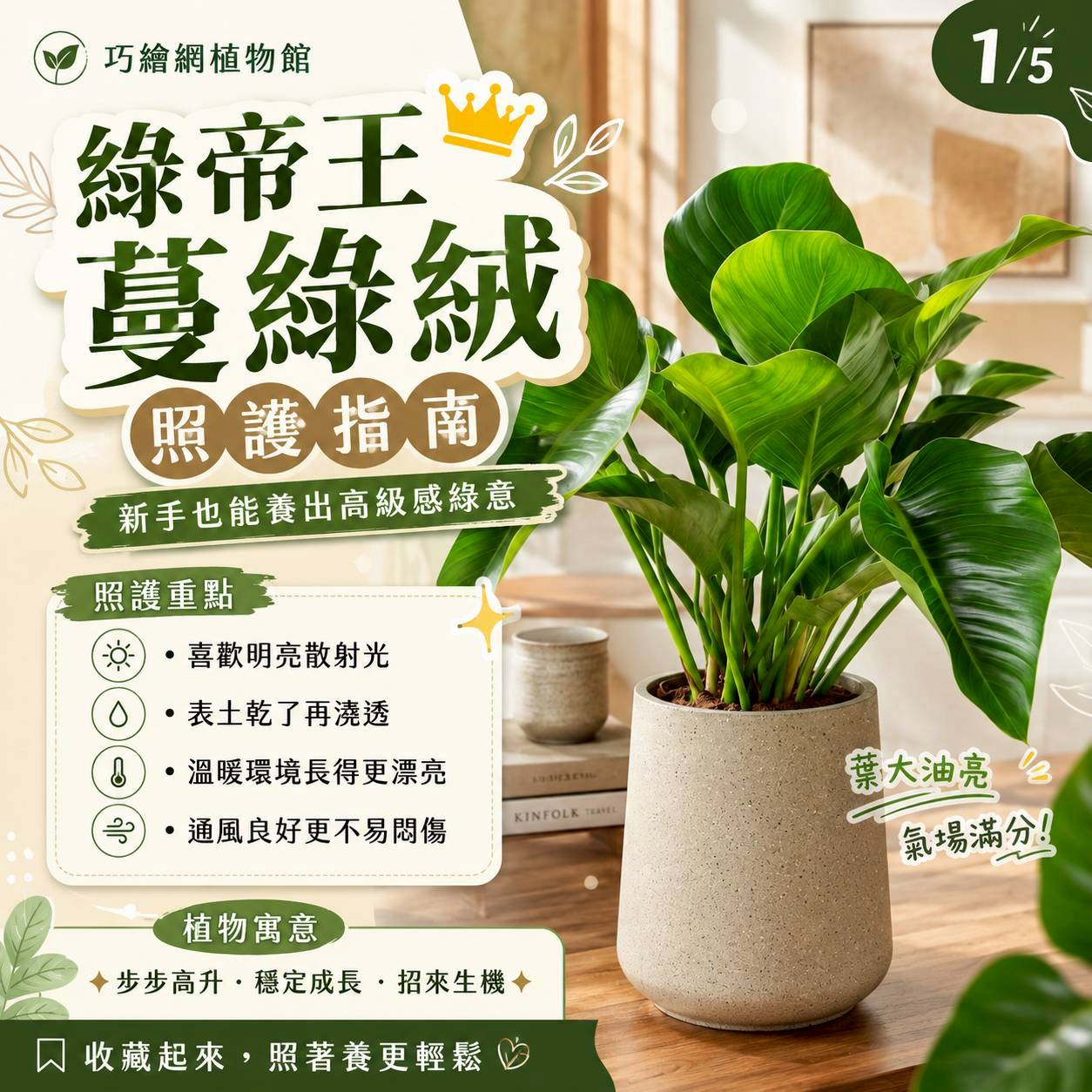 大綠帝王水泥盆栽 落地盆栽 大盆栽 拿鐵棕磨石子花盆 開幕送禮 喬遷禮物 植栽 辦公室裝飾