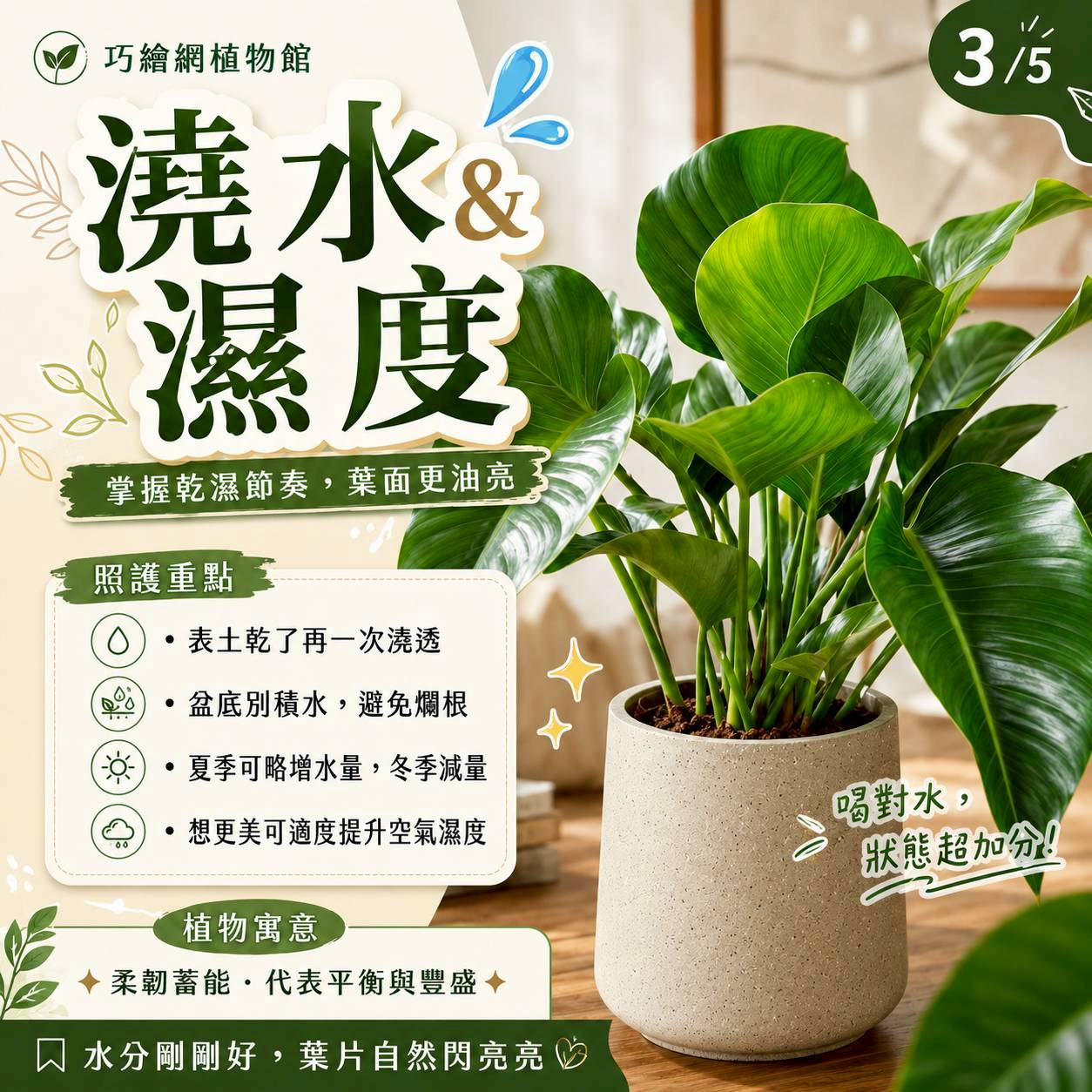 大綠帝王水泥盆栽 落地盆栽 大盆栽 拿鐵棕磨石子花盆 開幕送禮 喬遷禮物 植栽 辦公室裝飾