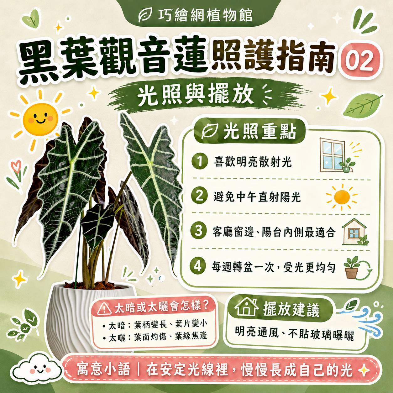 黑葉觀音蓮 流線仿水泥盆栽 桌上盆栽 塑膠盆器 開幕送禮 喬遷禮物 植栽 辦公室裝飾