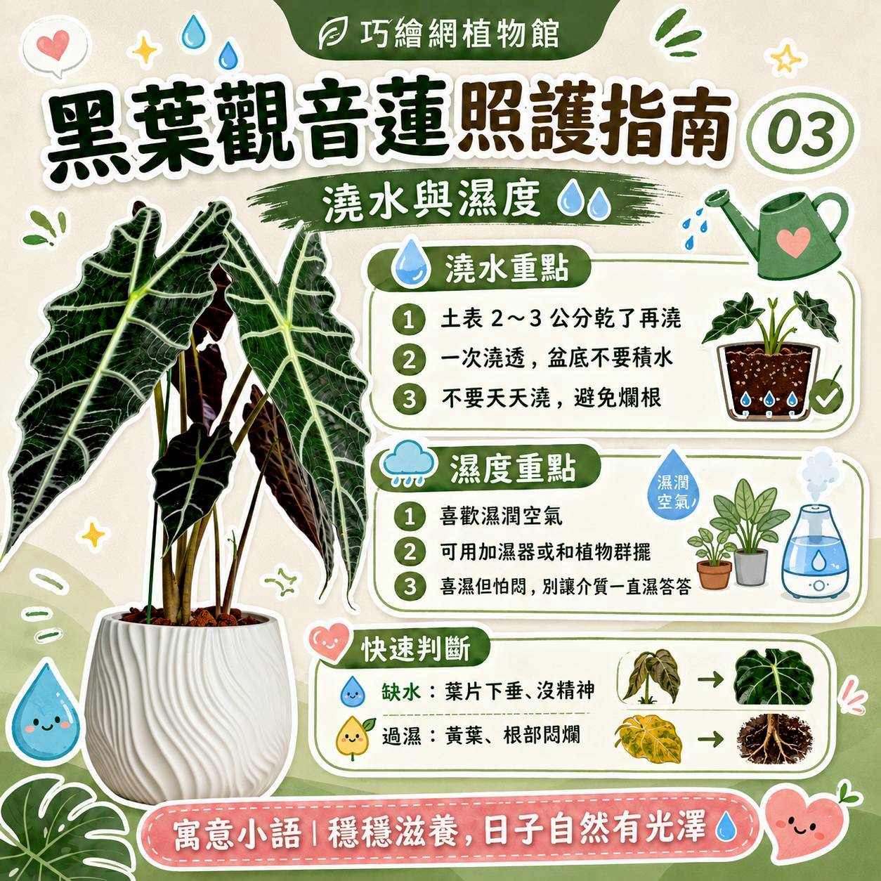 黑葉觀音蓮 流線仿水泥盆栽 桌上盆栽 塑膠盆器 開幕送禮 喬遷禮物 植栽 辦公室裝飾