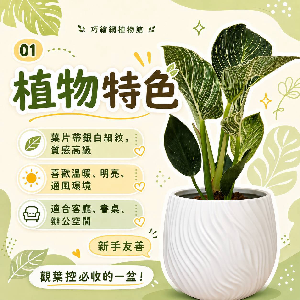 鉑金蔓綠絨 流線仿水泥盆栽 桌上盆栽 塑膠盆器 開幕送禮 喬遷禮物 植栽 辦公室裝飾