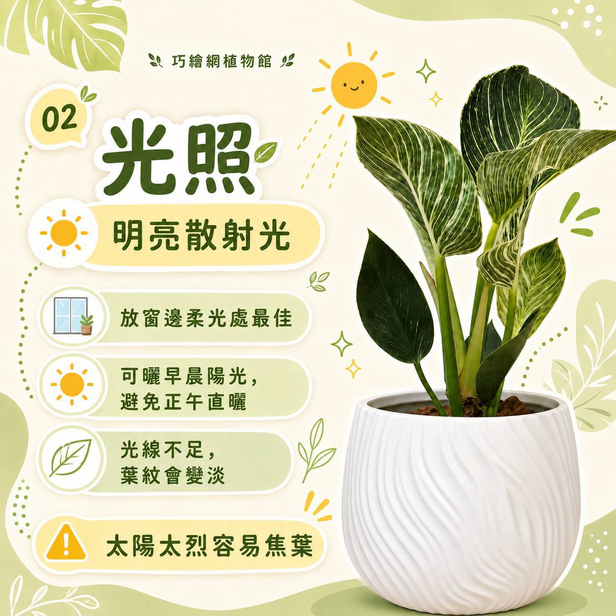 鉑金蔓綠絨 流線仿水泥盆栽 桌上盆栽 塑膠盆器 開幕送禮 喬遷禮物 植栽 辦公室裝飾