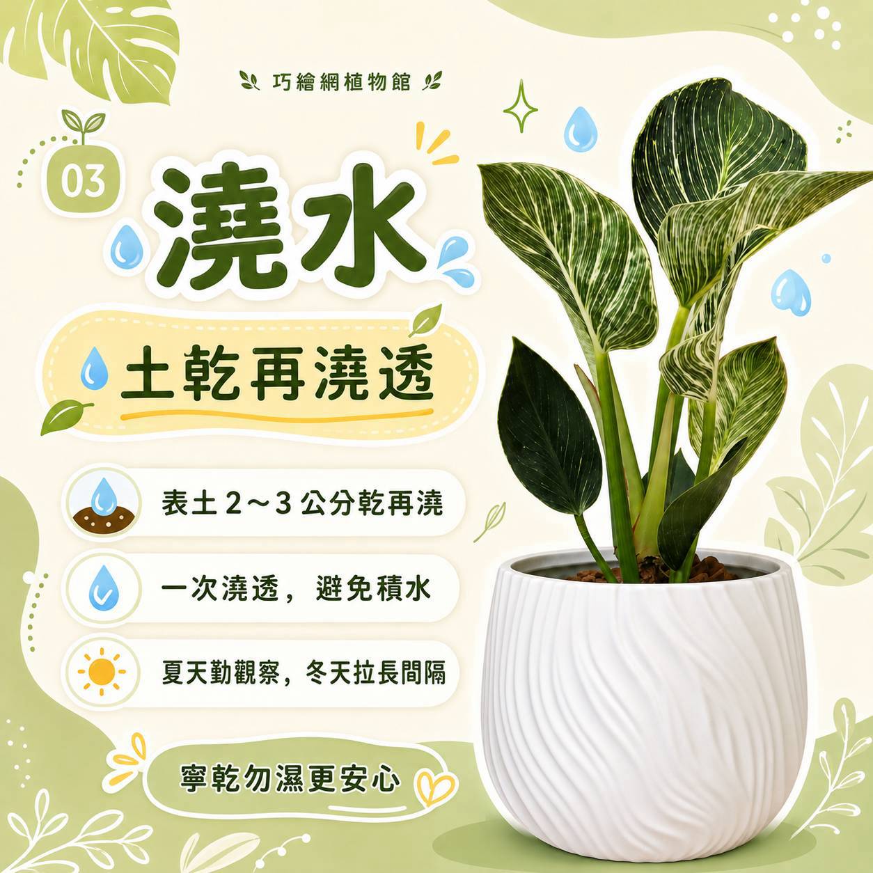 鉑金蔓綠絨 流線仿水泥盆栽 桌上盆栽 塑膠盆器 開幕送禮 喬遷禮物 植栽 辦公室裝飾