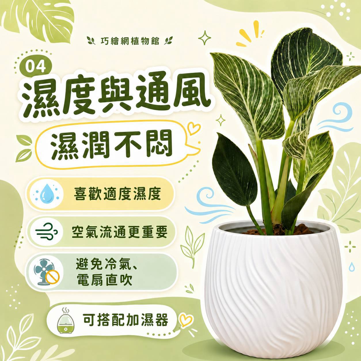 鉑金蔓綠絨 流線仿水泥盆栽 桌上盆栽 塑膠盆器 開幕送禮 喬遷禮物 植栽 辦公室裝飾
