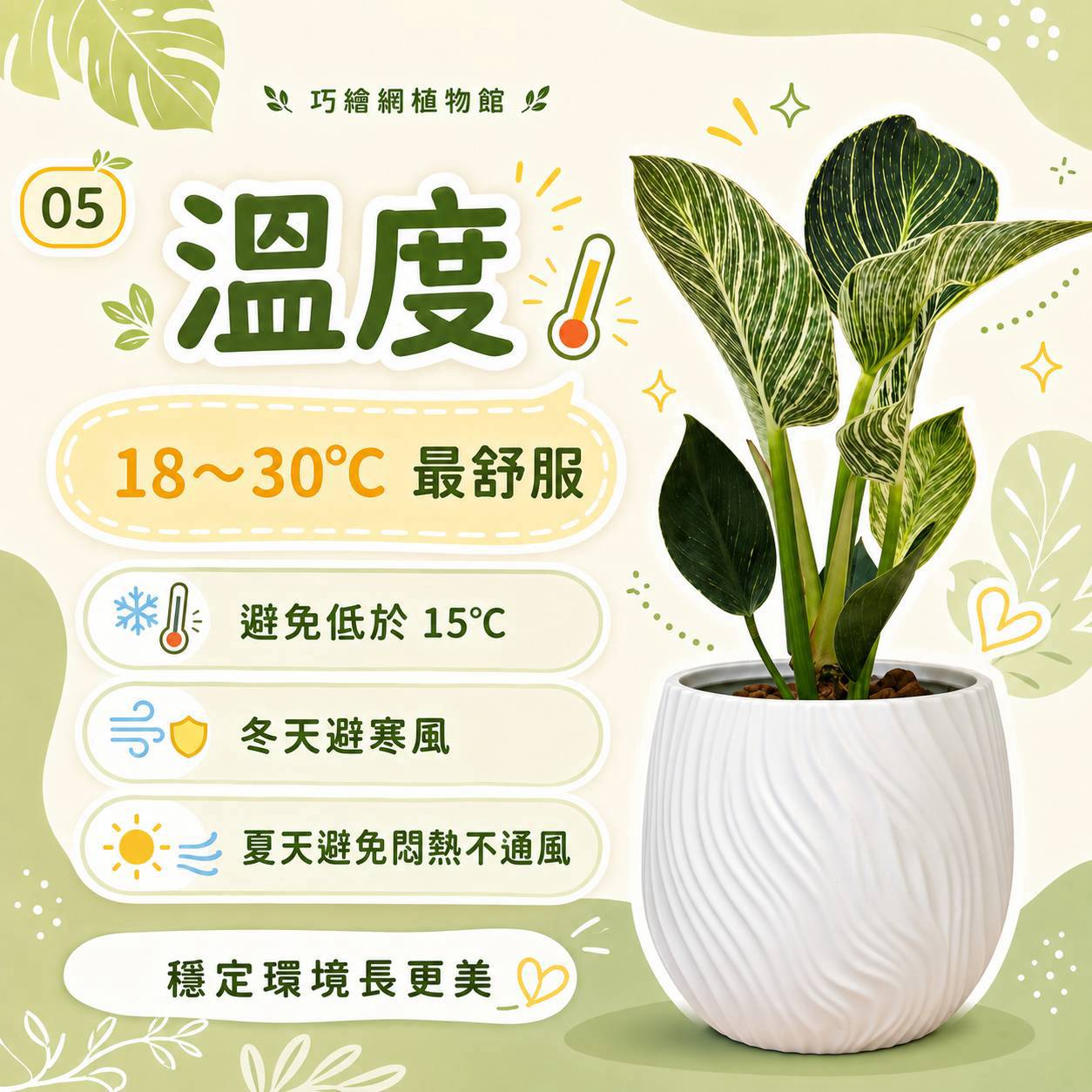 鉑金蔓綠絨 流線仿水泥盆栽 桌上盆栽 塑膠盆器 開幕送禮 喬遷禮物 植栽 辦公室裝飾