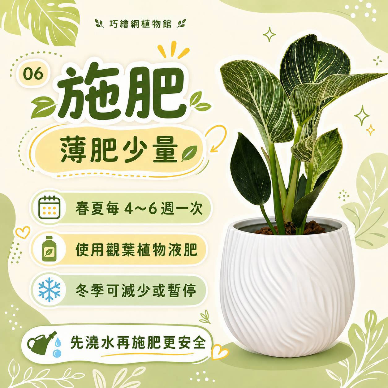 鉑金蔓綠絨 流線仿水泥盆栽 桌上盆栽 塑膠盆器 開幕送禮 喬遷禮物 植栽 辦公室裝飾
