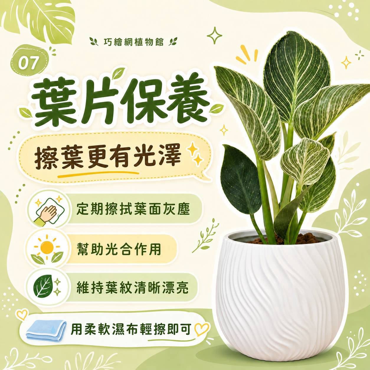 鉑金蔓綠絨 流線仿水泥盆栽 桌上盆栽 塑膠盆器 開幕送禮 喬遷禮物 植栽 辦公室裝飾