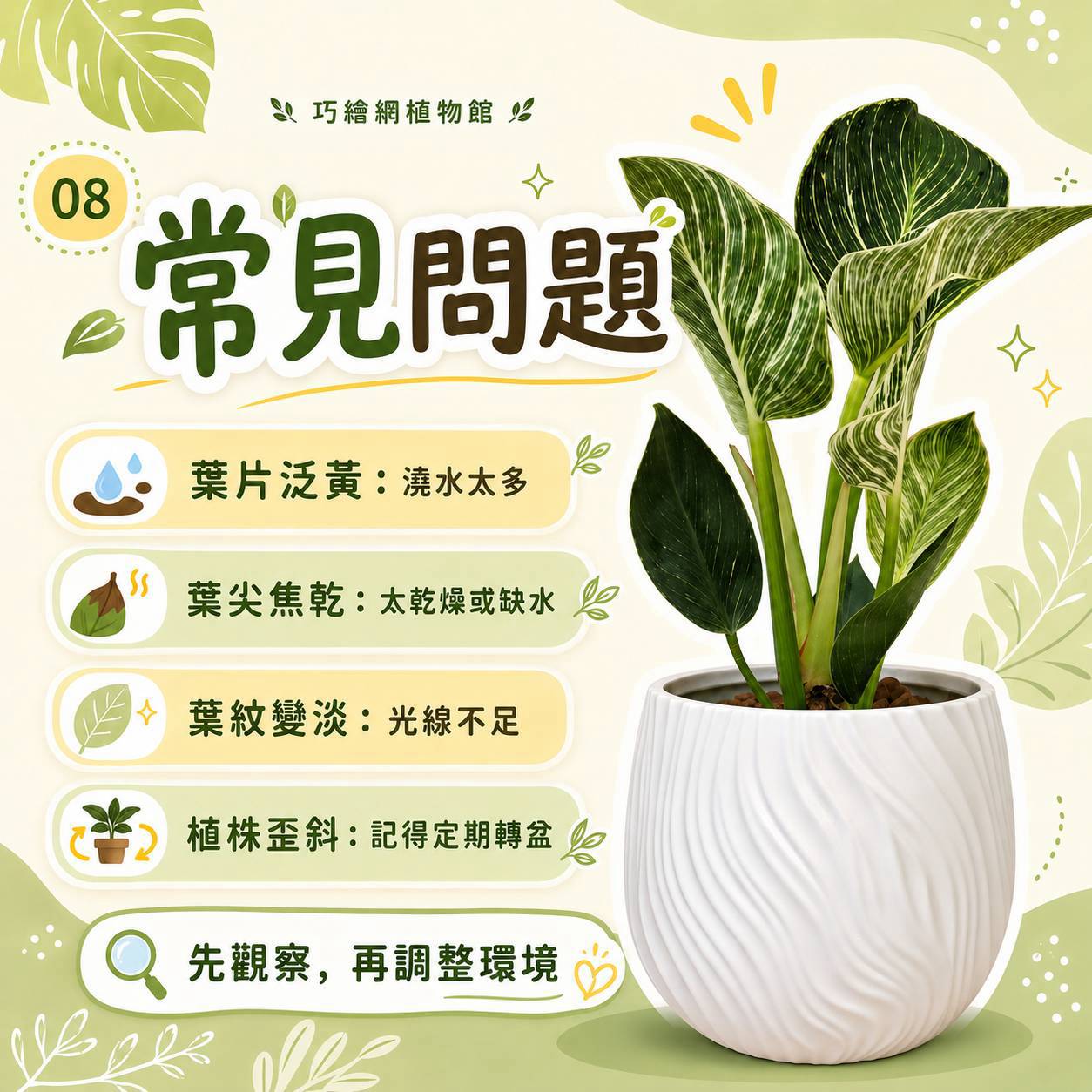 鉑金蔓綠絨 流線仿水泥盆栽 桌上盆栽 塑膠盆器 開幕送禮 喬遷禮物 植栽 辦公室裝飾
