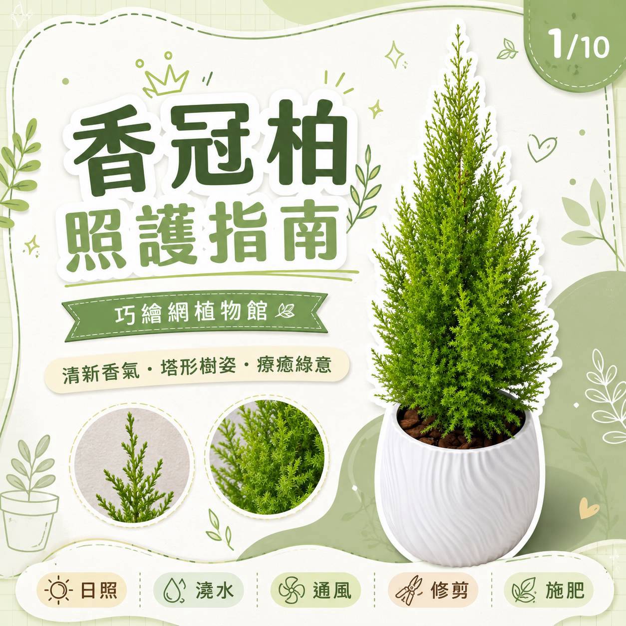 香冠柏 流線仿水泥盆栽 桌上盆栽 塑膠盆器 開幕送禮 喬遷禮物 植栽 辦公室裝飾