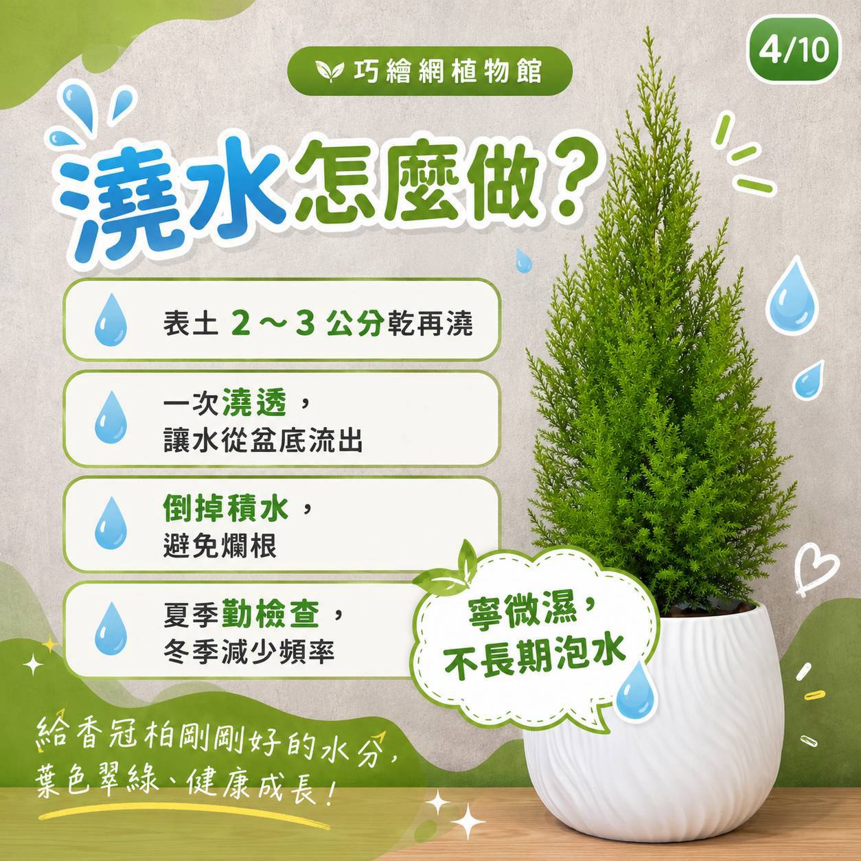 香冠柏 流線仿水泥盆栽 桌上盆栽 塑膠盆器 開幕送禮 喬遷禮物 植栽 辦公室裝飾