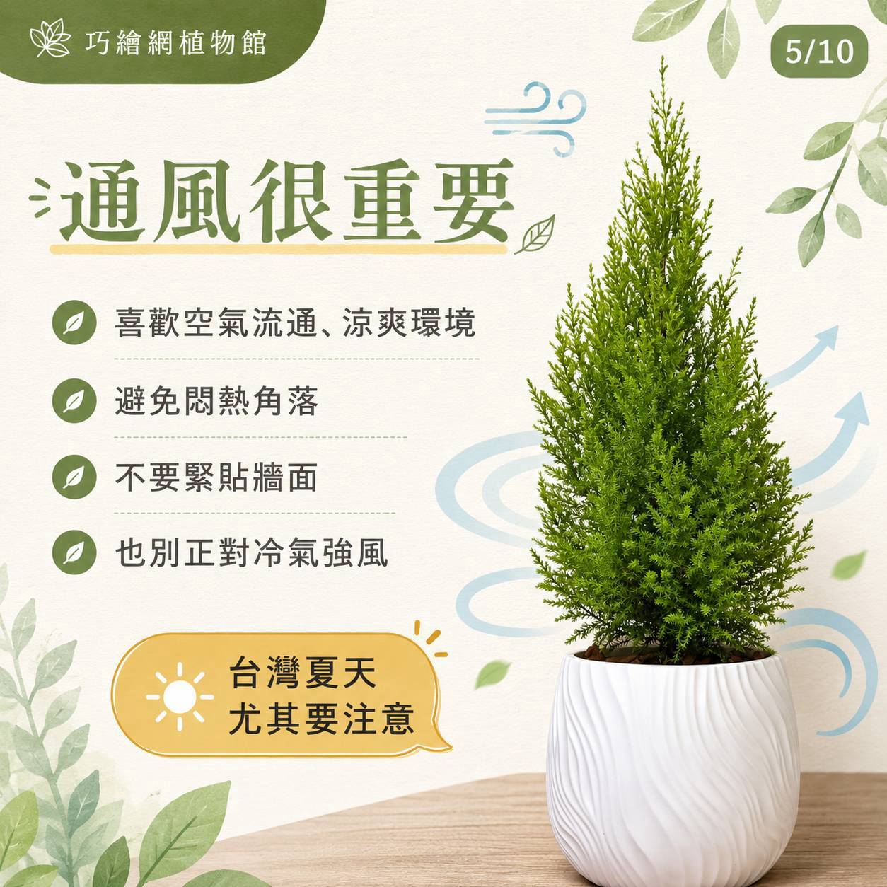 香冠柏 流線仿水泥盆栽 桌上盆栽 塑膠盆器 開幕送禮 喬遷禮物 植栽 辦公室裝飾