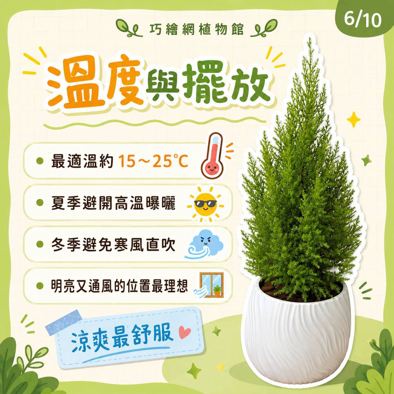 香冠柏 流線仿水泥盆栽 桌上盆栽 塑膠盆器 開幕送禮 喬遷禮物 植栽 辦公室裝飾