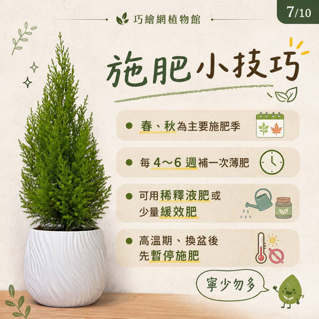 香冠柏 流線仿水泥盆栽 桌上盆栽 塑膠盆器 開幕送禮 喬遷禮物 植栽 辦公室裝飾