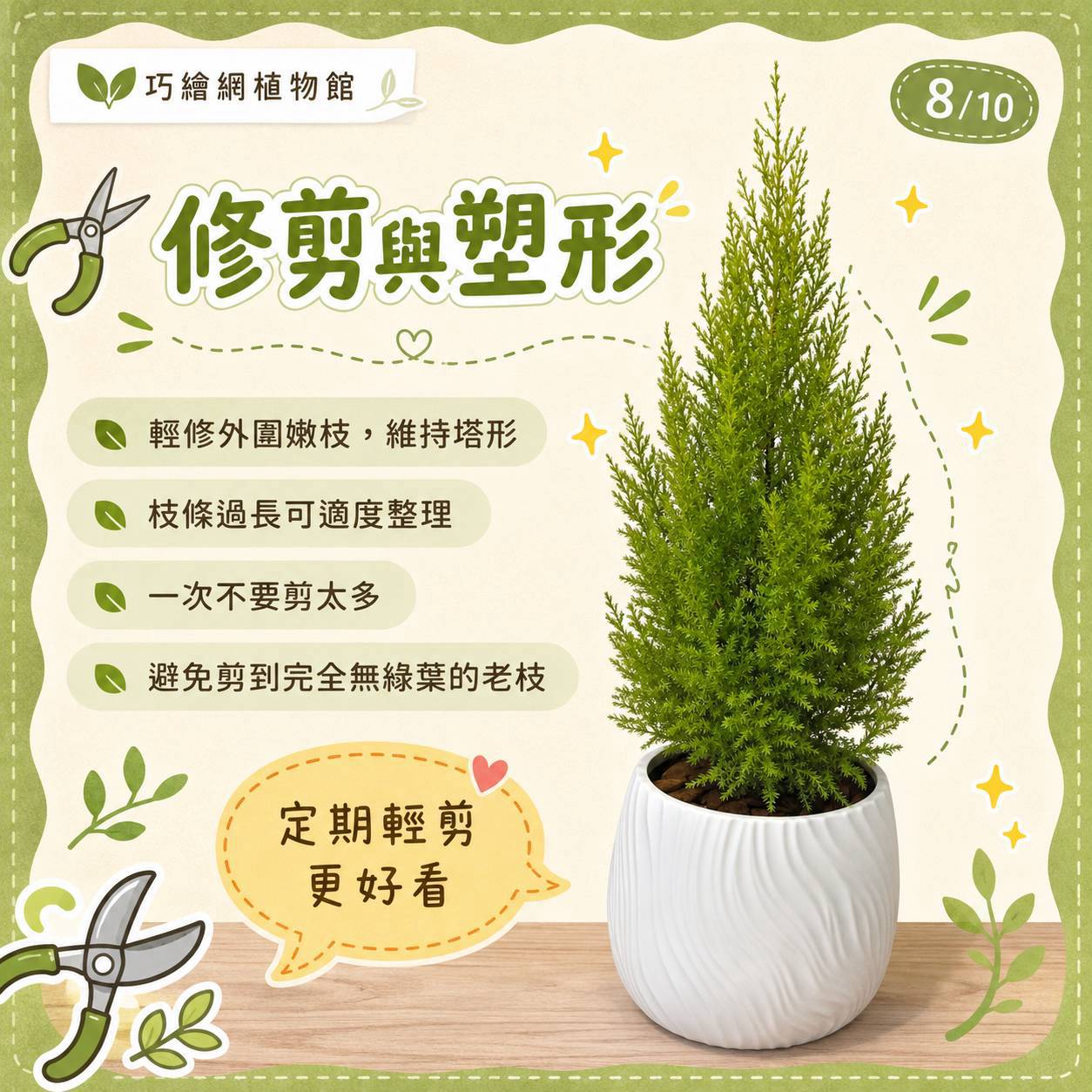 香冠柏 流線仿水泥盆栽 桌上盆栽 塑膠盆器 開幕送禮 喬遷禮物 植栽 辦公室裝飾