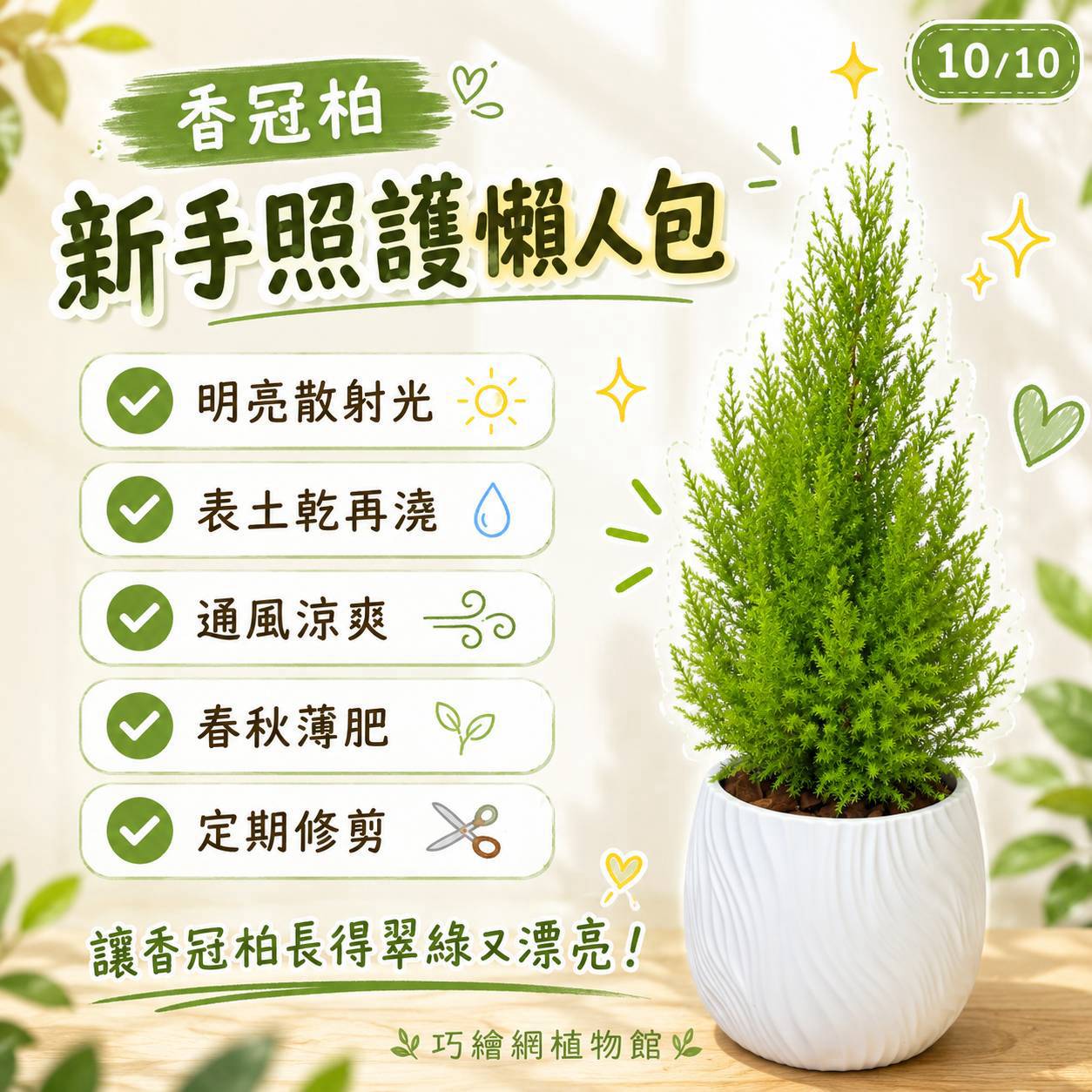 香冠柏 流線仿水泥盆栽 桌上盆栽 塑膠盆器 開幕送禮 喬遷禮物 植栽 辦公室裝飾